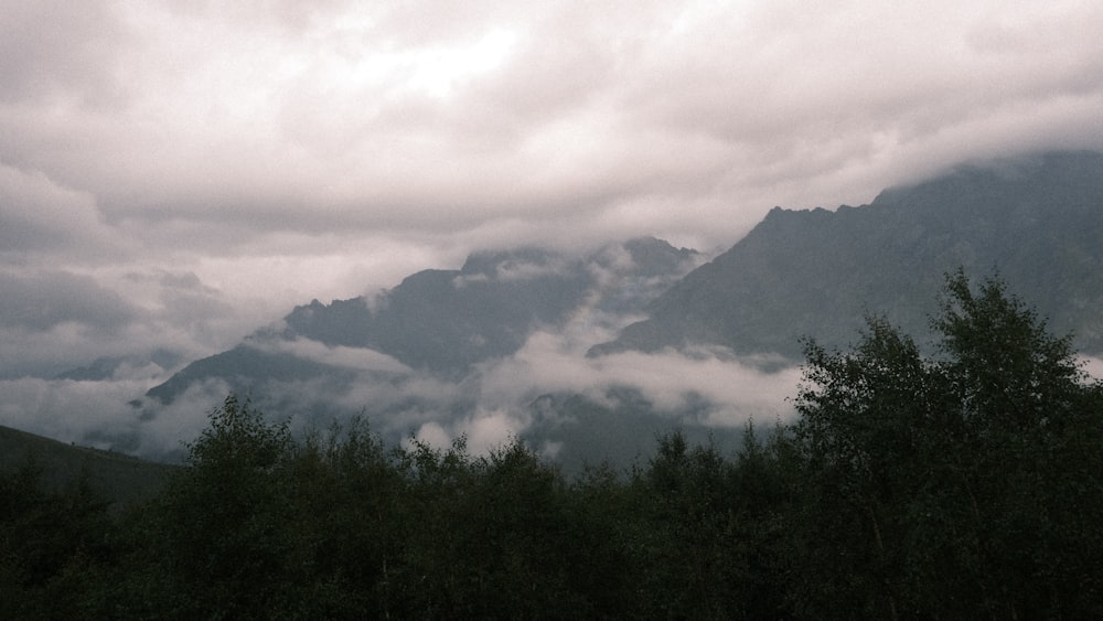 a mountain range covered in clouds and trees