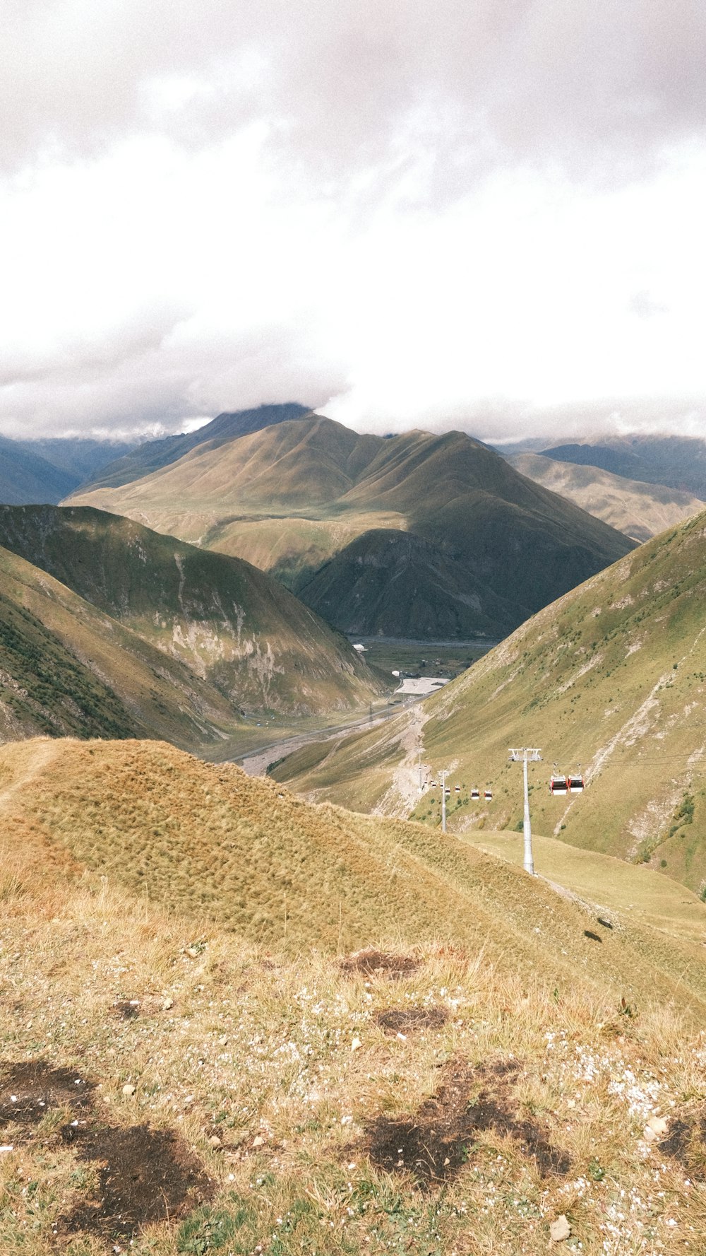 a man standing on top of a lush green hillside