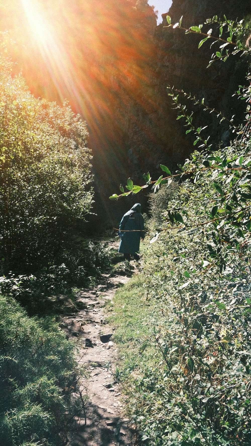 a person walking up a trail in the woods