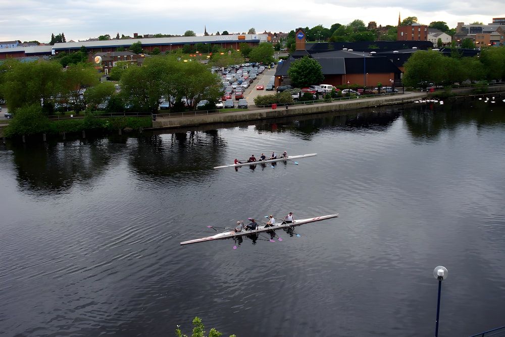 a group of rowers rowing down a river