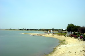 A calm lakeside scene with a small dock extending into the water. The shoreline is sandy with sparse vegetation and several trees. Buildings with colorful roofs are visible further inland, creating a small, serene park-like area.