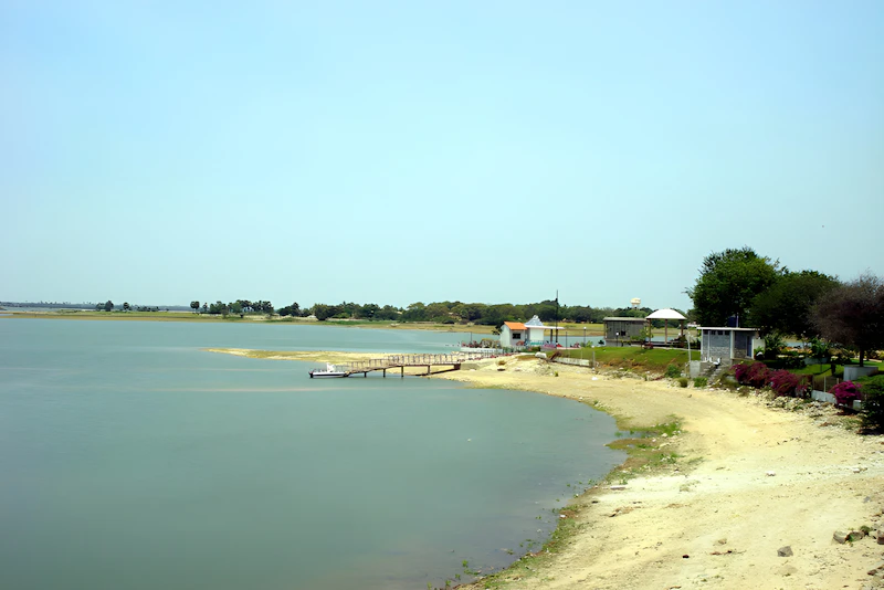 Best Pet-Friendly Hotels and Stays in Khammam for Travelers With Furry Companions
