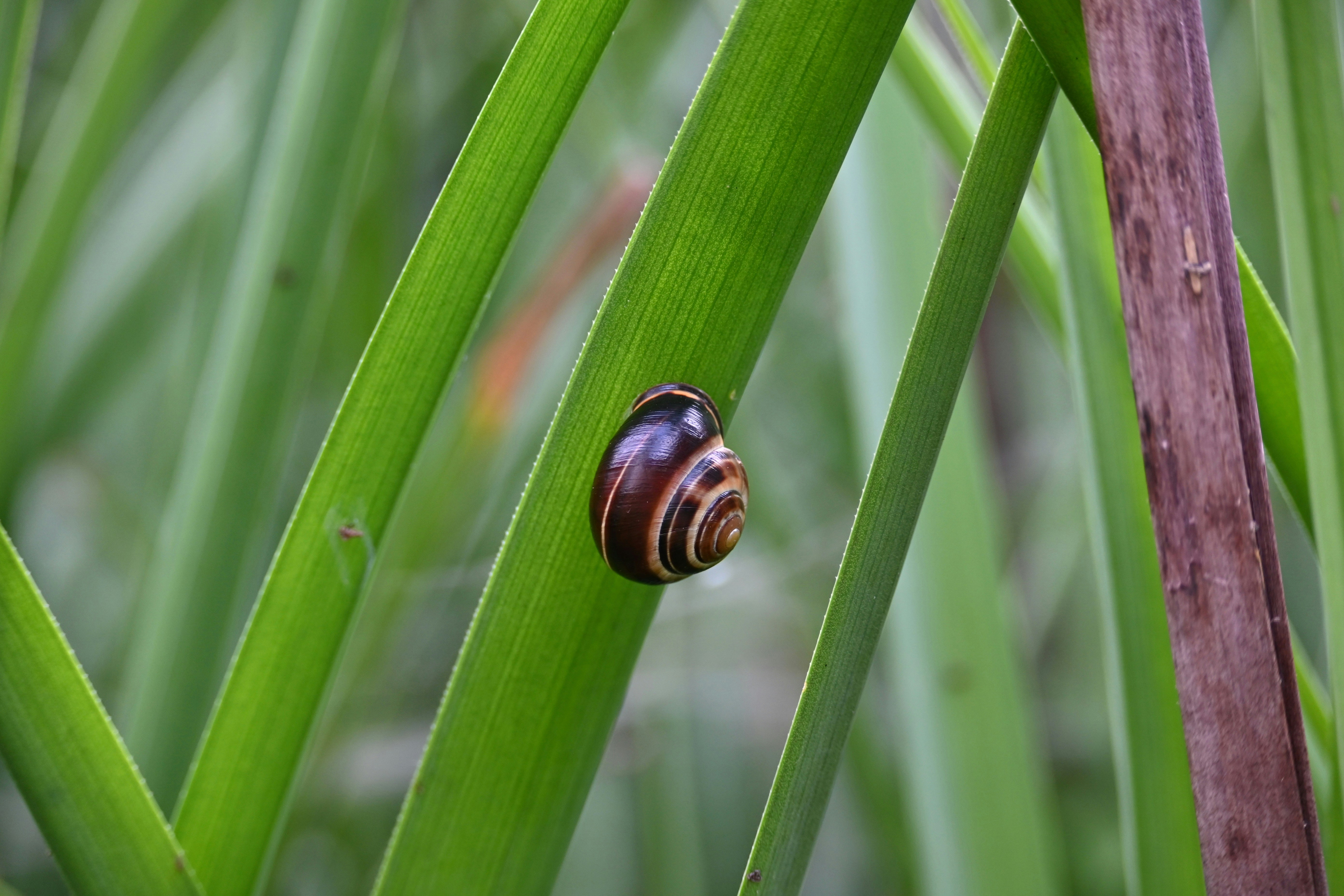 Photo by jodiemcgonagle