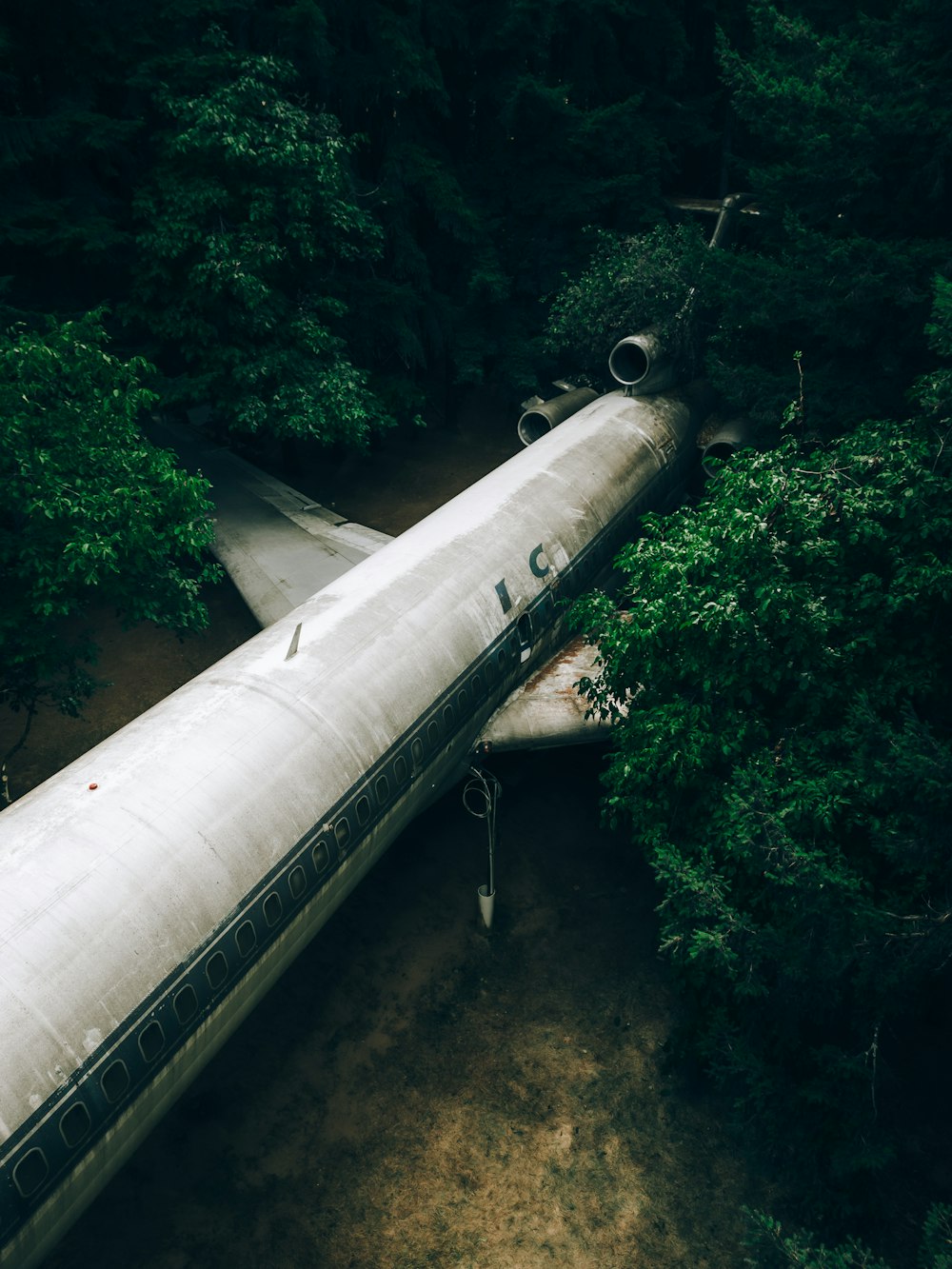 a plane is sitting in the middle of a forest