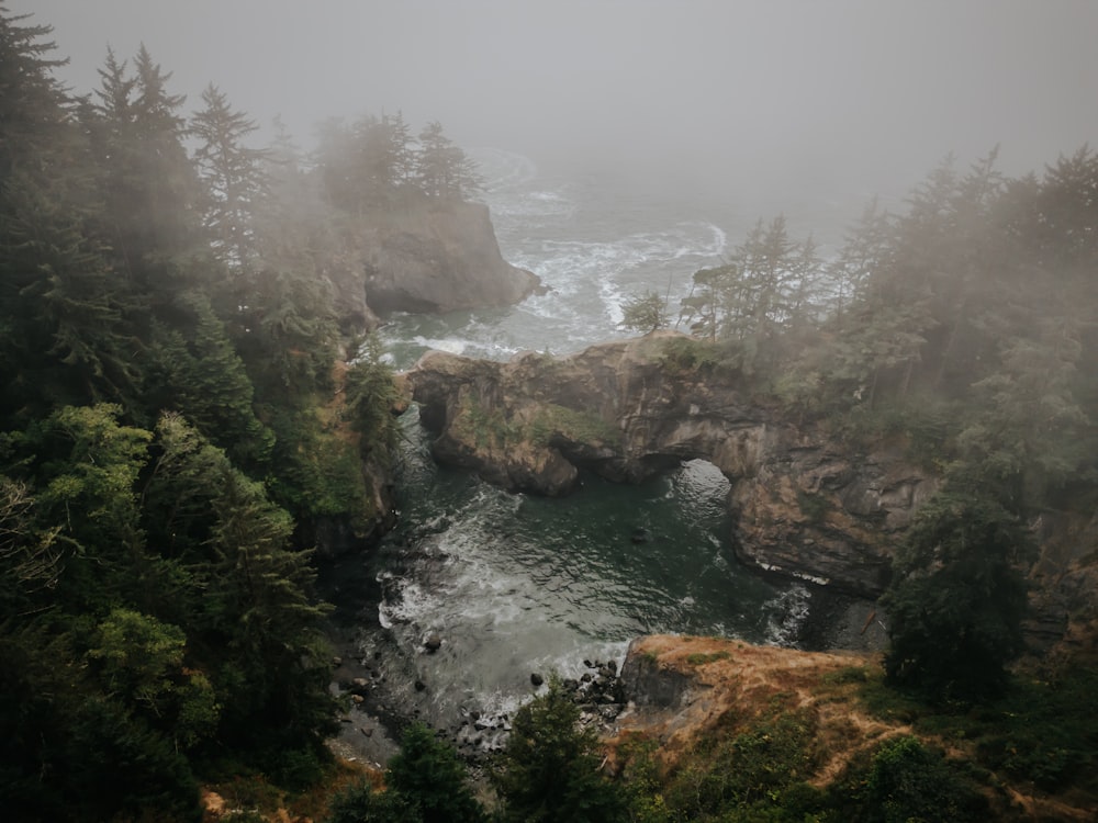 a body of water surrounded by trees on a foggy day