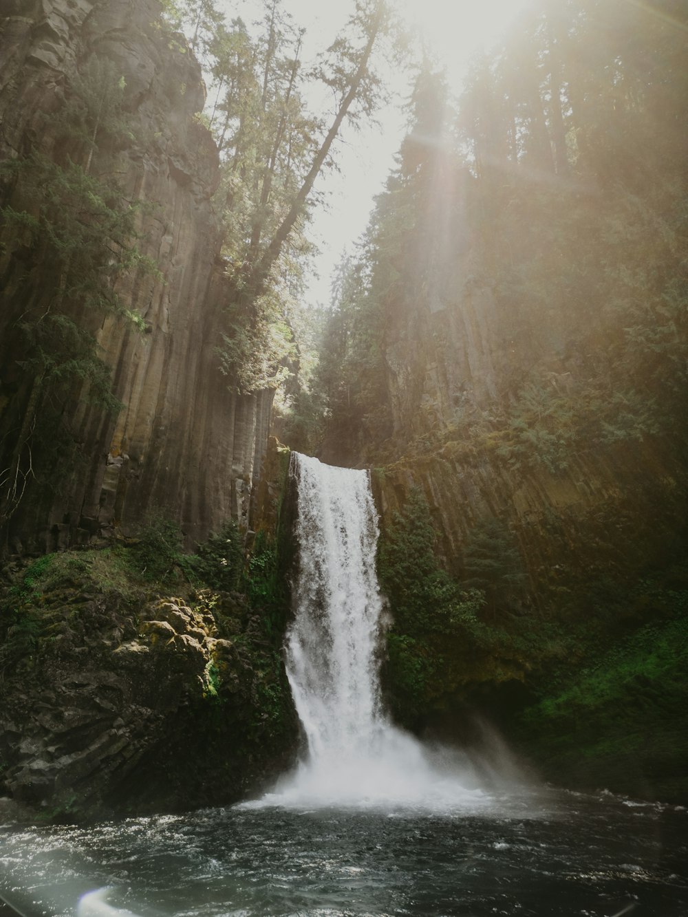 a waterfall in the middle of a forest