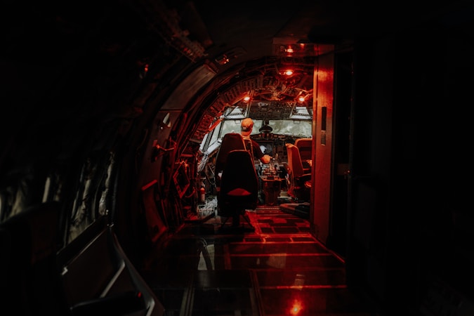 From Aerophobe to Aviator: A Journey of Self-Discovery
