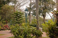 A lush garden setting with a variety of green plants and trees. A tall, ornate street lamp is present among the vegetation, and a brick pathway can be seen leading through the garden. Some red flowers and foliage add splashes of color to the scene.