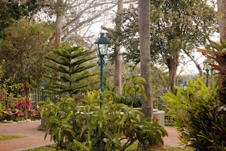 A lush garden setting with a variety of green plants and trees. A tall, ornate street lamp is present among the vegetation, and a brick pathway can be seen leading through the garden. Some red flowers and foliage add splashes of color to the scene.