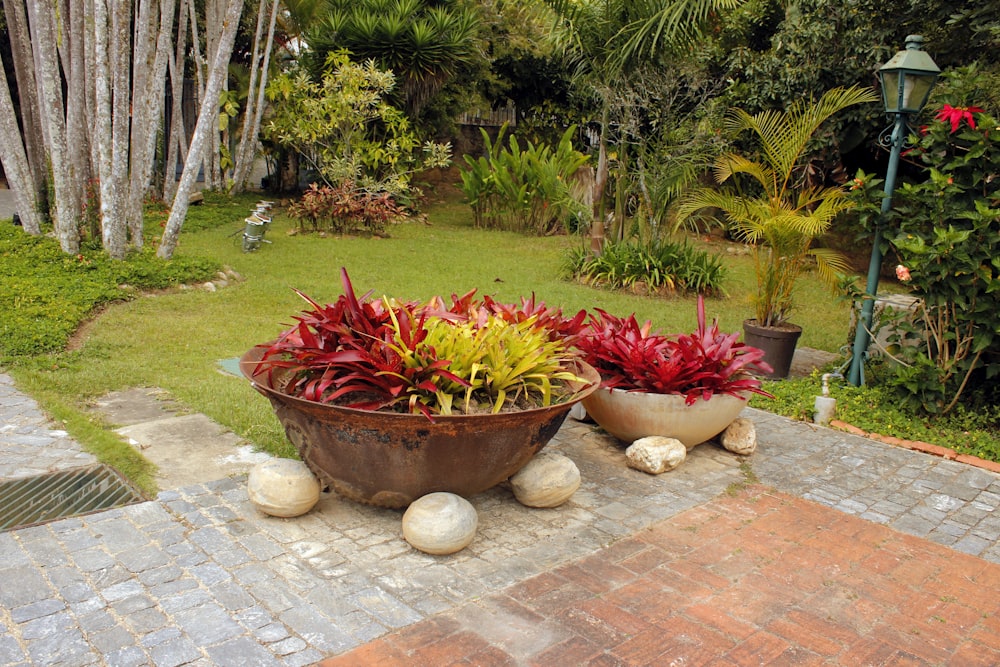 a couple of potted plants sitting on top of a brick walkway