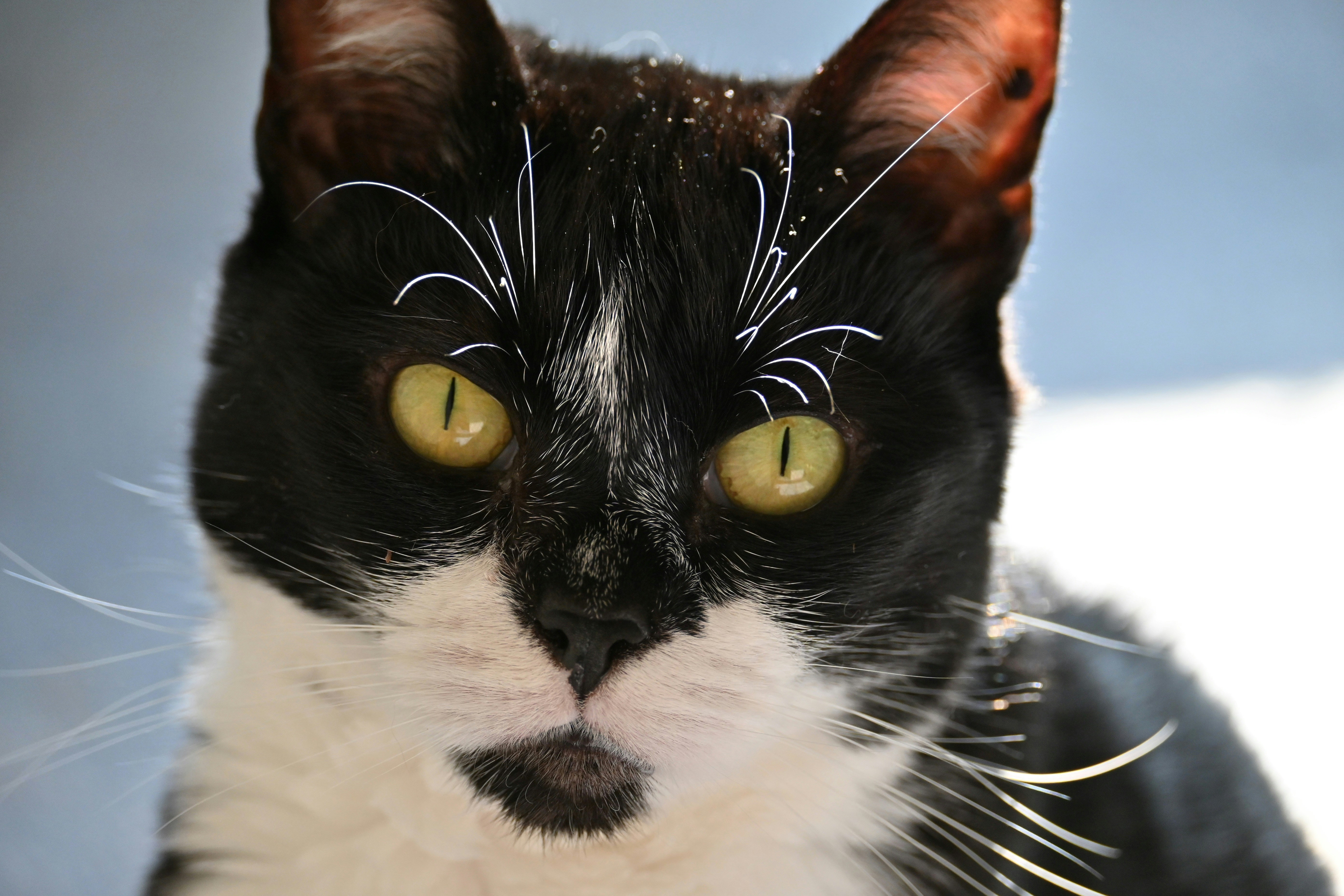 Photo by jodiemcgonagle