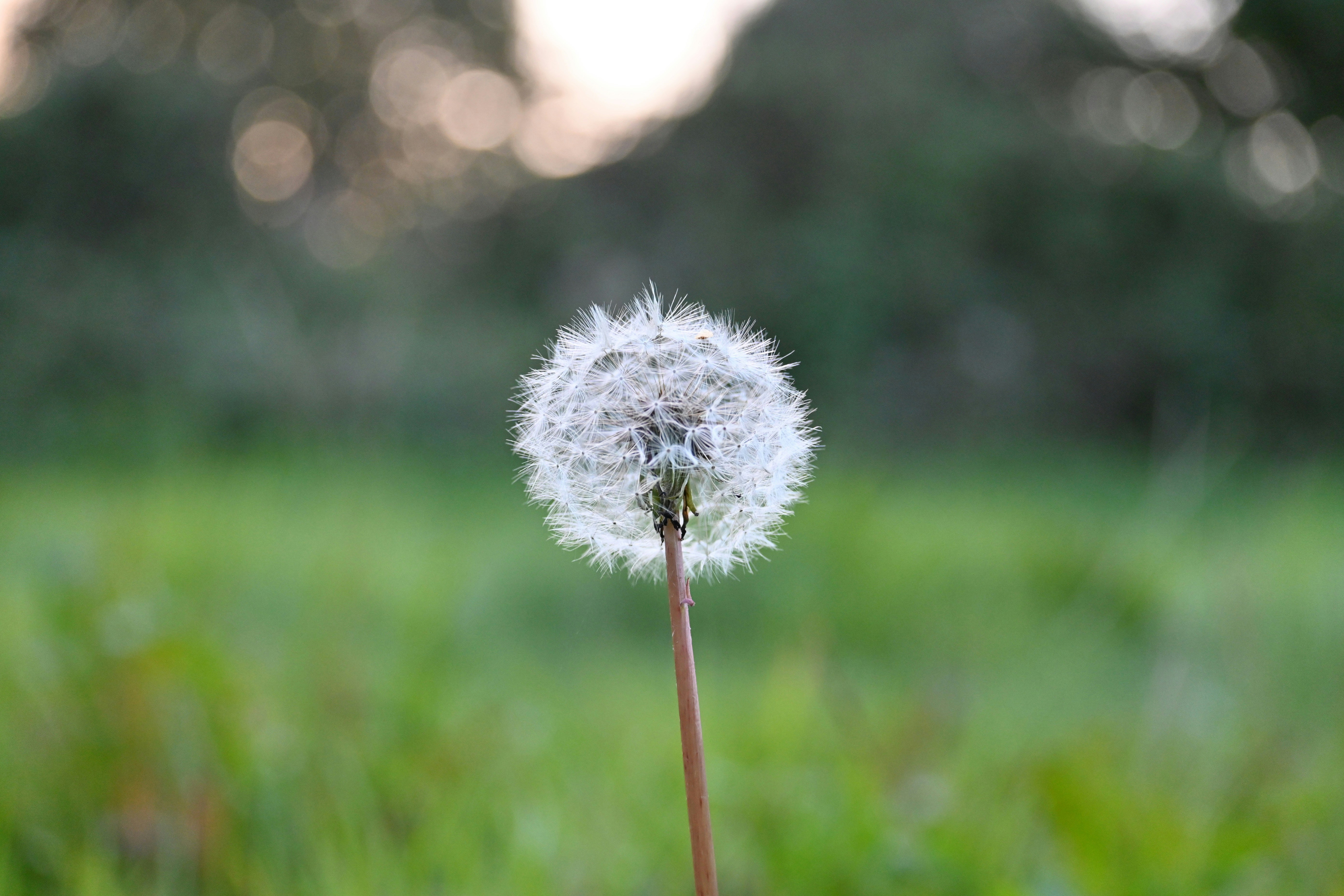 Photo by jodiemcgonagle