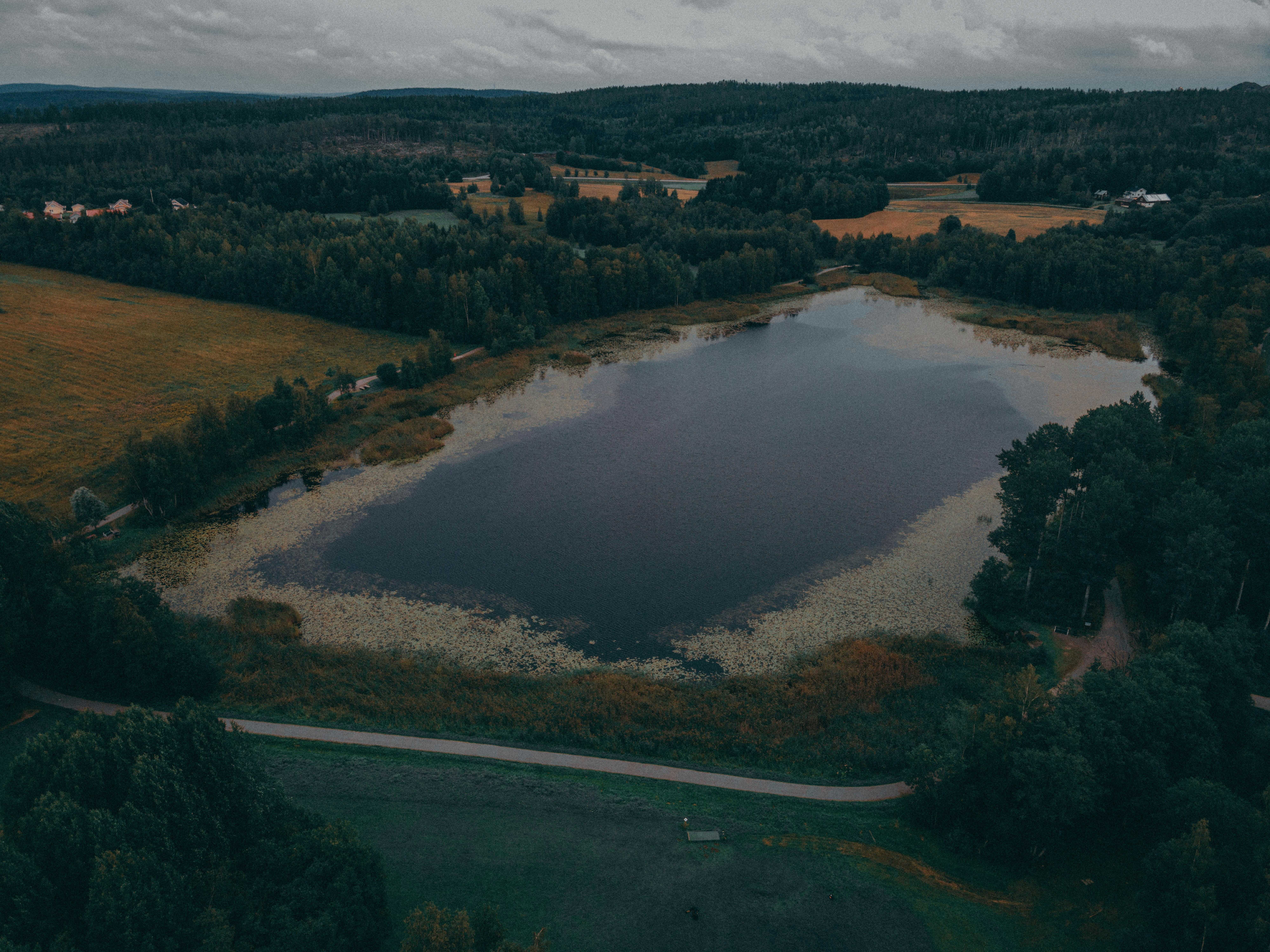 Photo by charlie_sivler