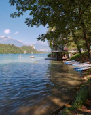 Adventurers enjoying water sports on a sparkling blue lake, with kayaks and paddleboards under a sunny sky.