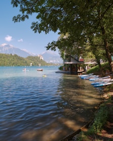A group of friends enjoying outdoor activities like paddleboarding and hiking in a beautiful landscape.