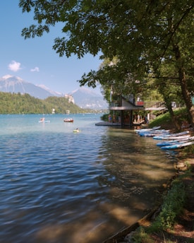 A lakeside scene featuring a lush green environment with several people engaged in water activities such as kayaking and boating. There are paddleboards lined up at the edge of the lake next to a building with a sign indicating 'SUP.' The background includes mountains under a clear blue sky.