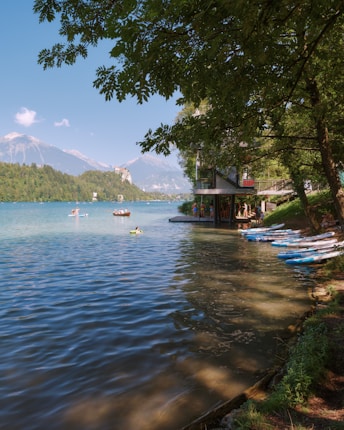 A lakeside scene featuring a lush green environment with several people engaged in water activities such as kayaking and boating. There are paddleboards lined up at the edge of the lake next to a building with a sign indicating 'SUP.' The background includes mountains under a clear blue sky.