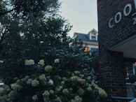 A charming residential block surrounded by leafy trees in Zone 3 London.