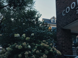 A charming residential block surrounded by leafy trees in Zone 3 London.