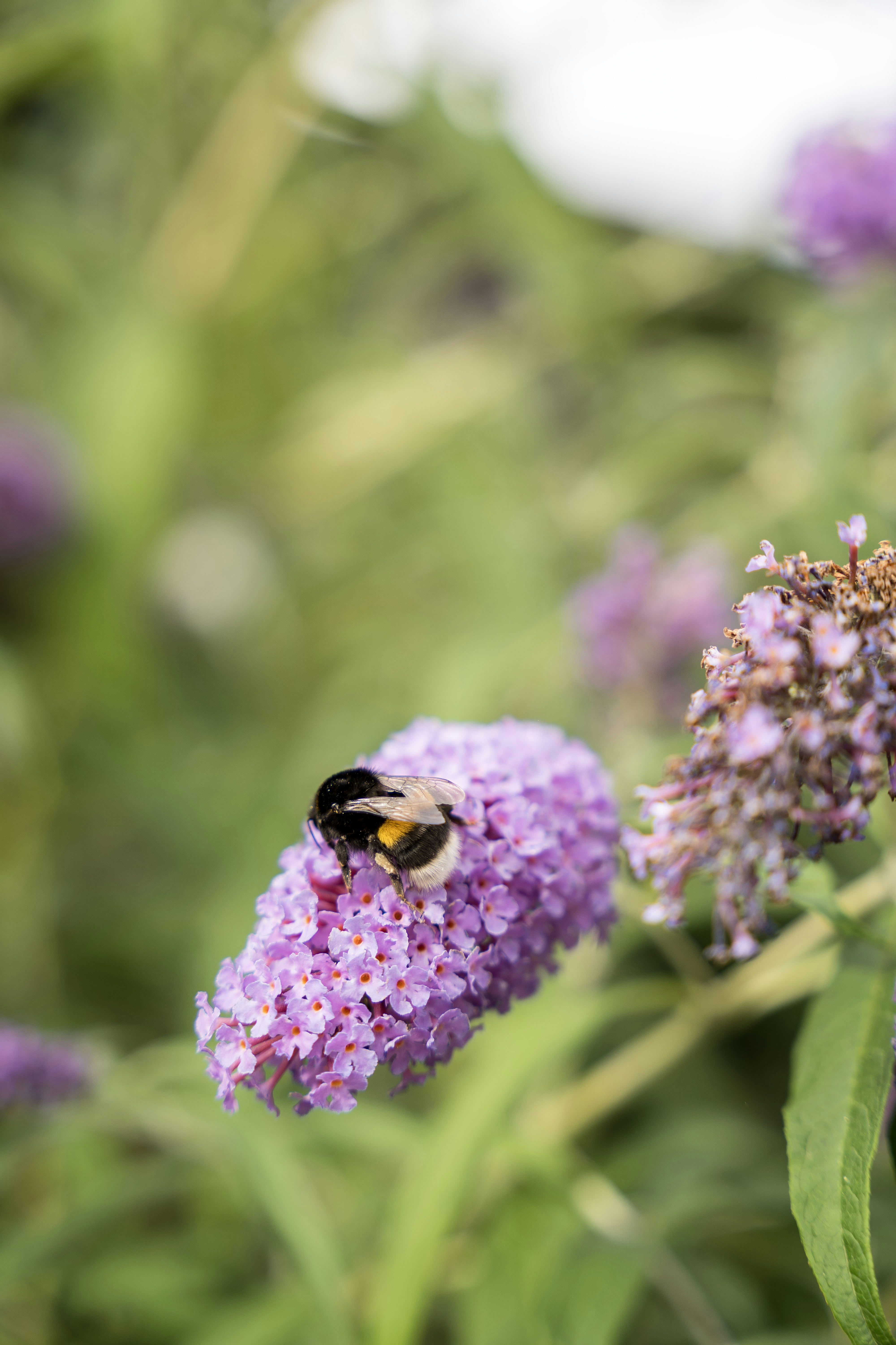 Photo by fabiankleiser