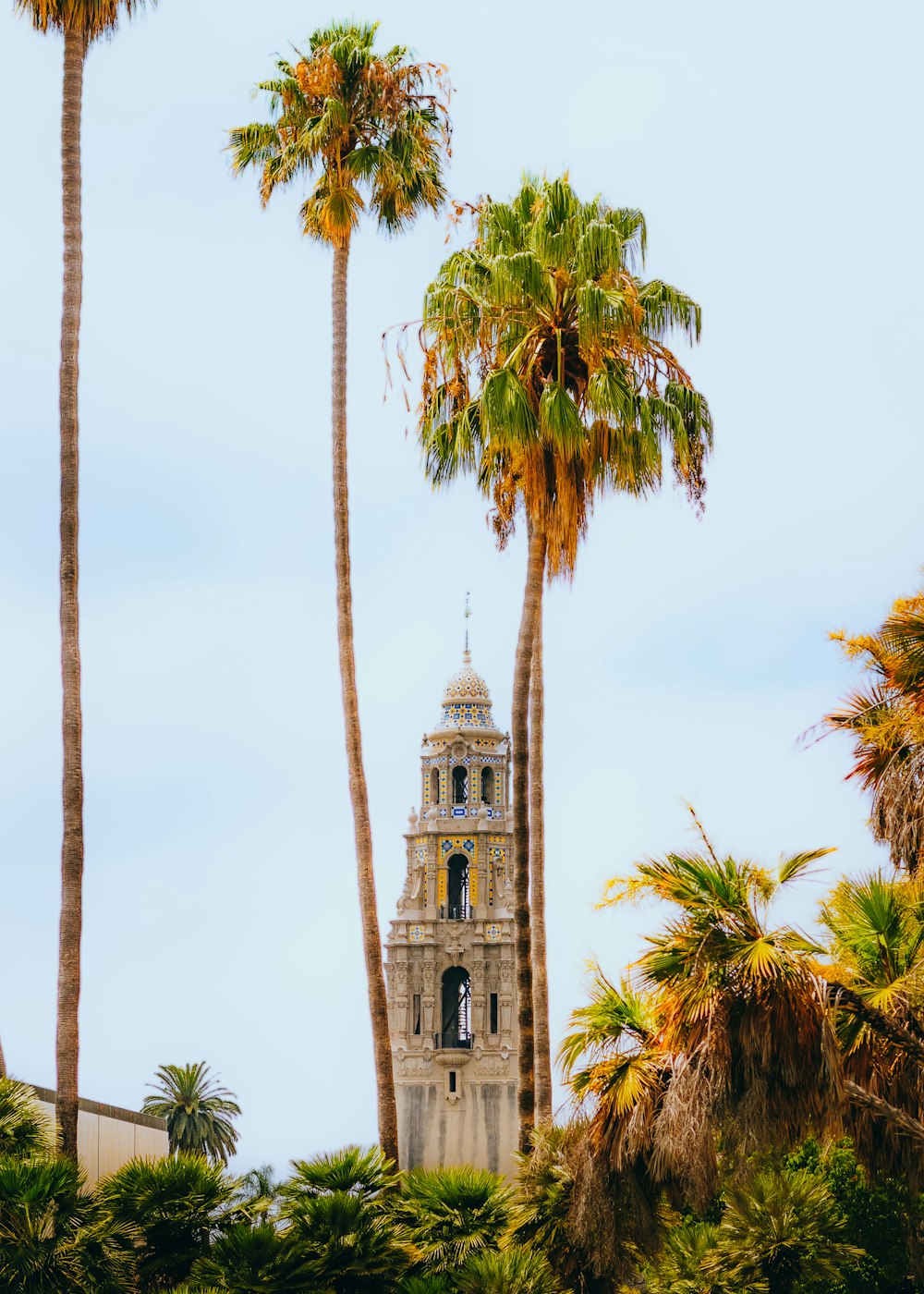 a tall clock tower surrounded by palm trees