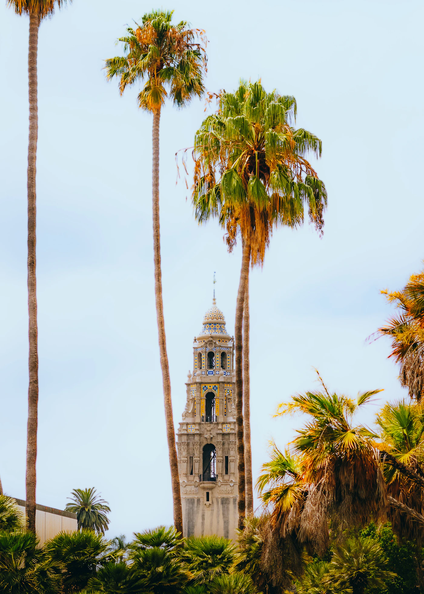 A Short History of Balboa Park, San Diego's Cultural Heart