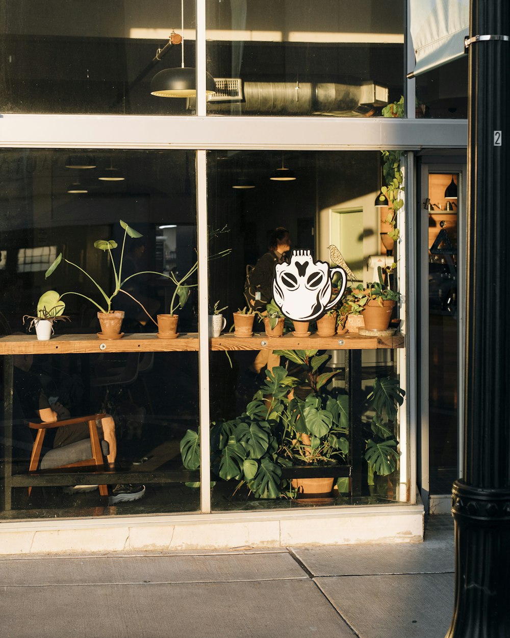 a store window with plants and a mask on it