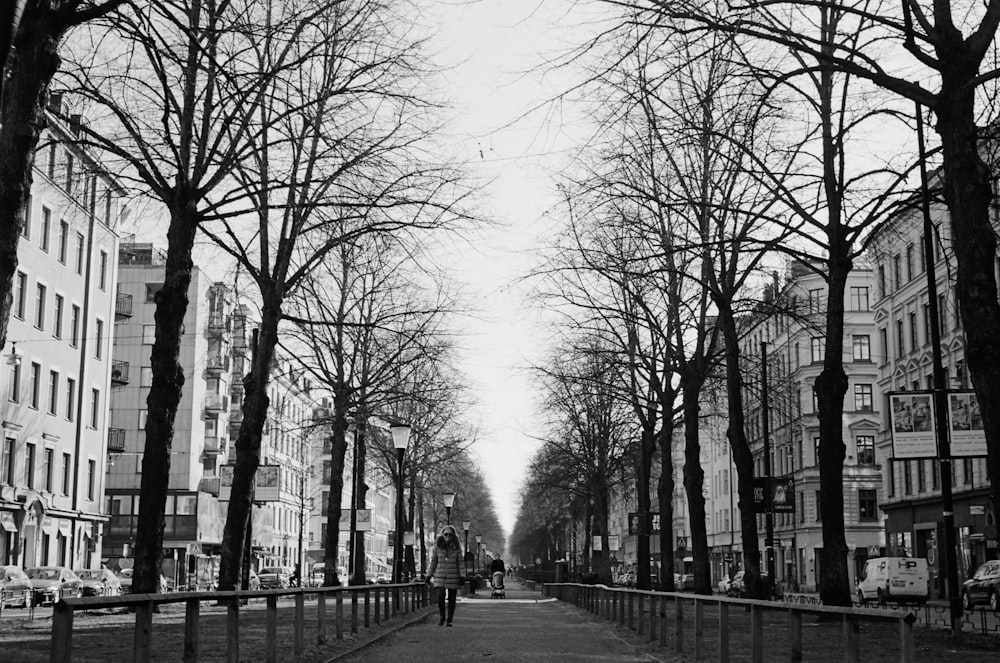 a black and white photo of a tree lined street