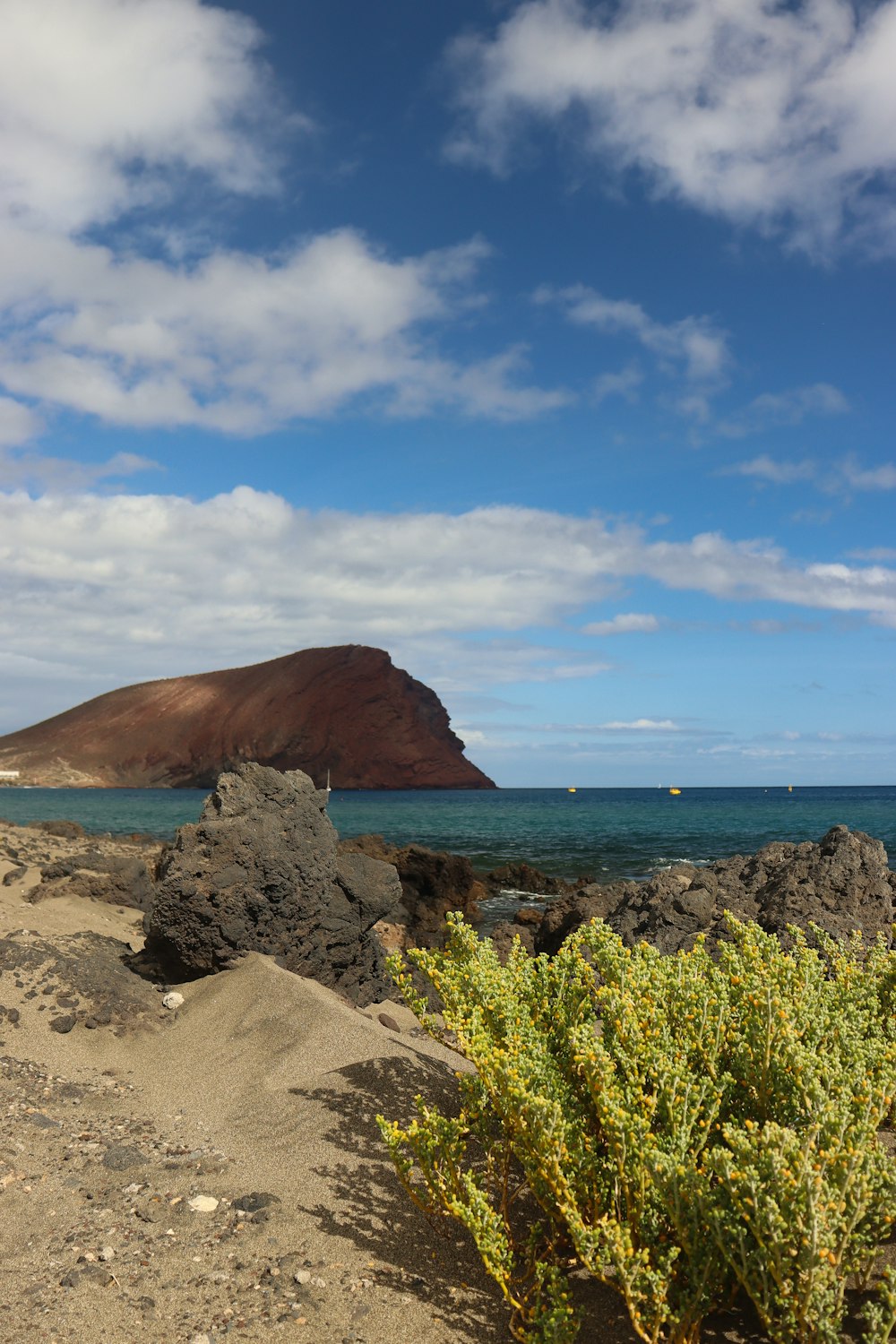 a beach with a mountain in the background