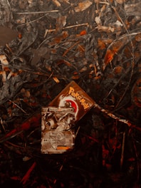 A Pokémon trading card featuring Articuno EX is placed on a ground covered in dry leaves and twigs. The card shows an illustration of Articuno, a legendary bird Pokémon. The setting appears earthy and cluttered with scattered, decaying foliage.