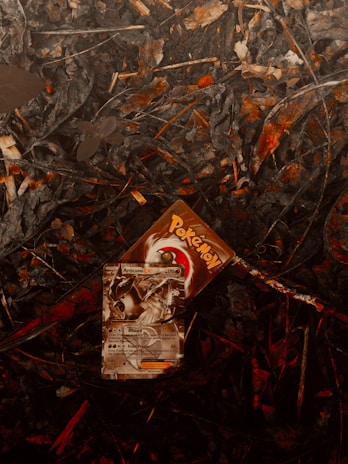 A Pokémon trading card featuring Articuno EX is placed on a ground covered in dry leaves and twigs. The card shows an illustration of Articuno, a legendary bird Pokémon. The setting appears earthy and cluttered with scattered, decaying foliage.