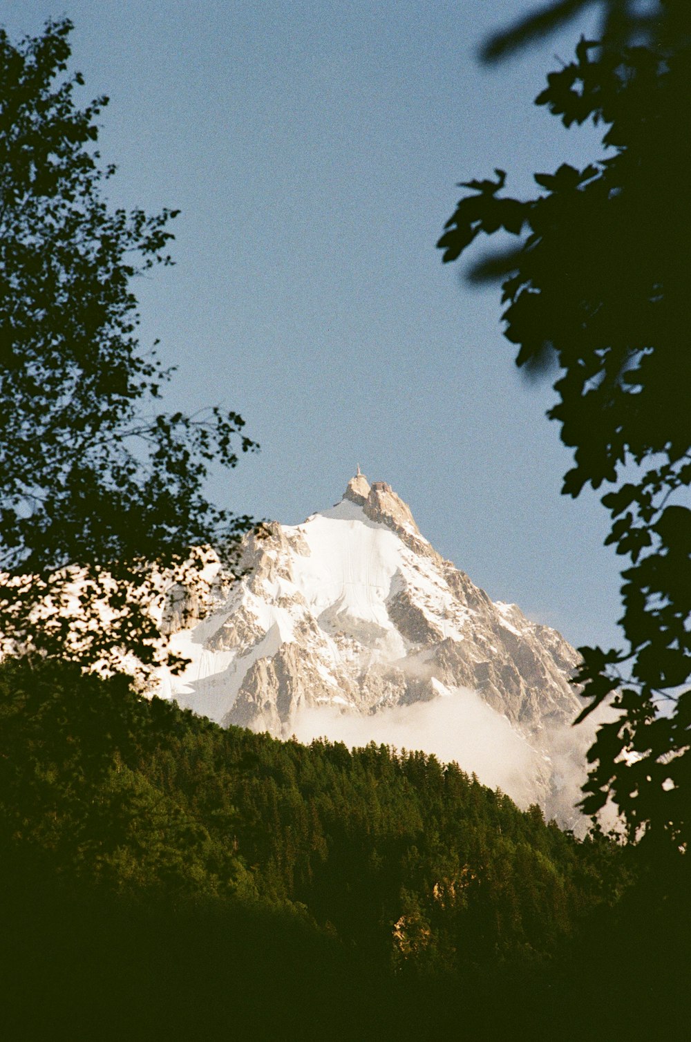 a view of a snow covered mountain through some trees