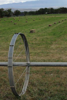 an old wheel leaning on a fence in a field