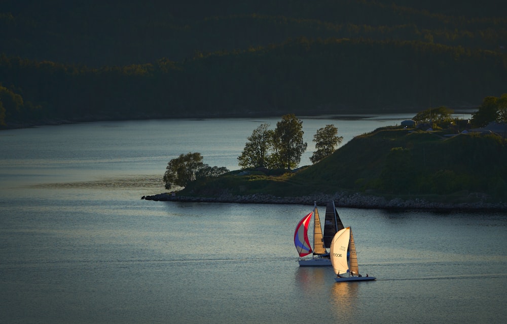 a couple of sail boats floating on top of a lake