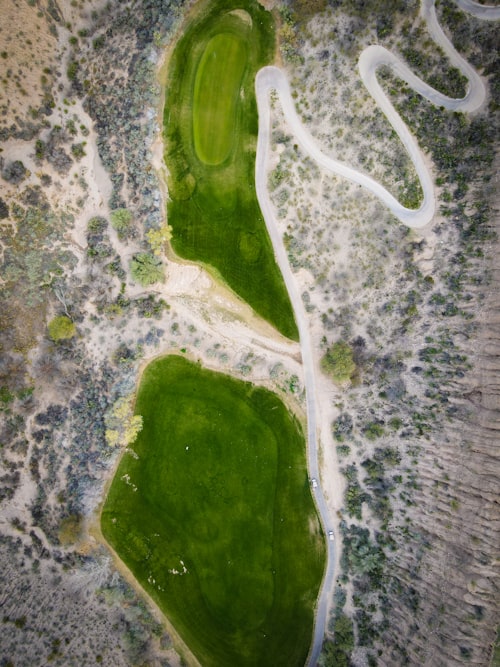 A round of golf on the Baobab Course