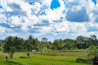 A scenic view of the fertile lands of Sulawesi under a clear sky.