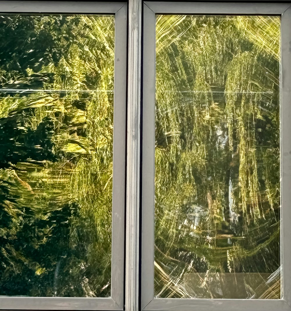 the reflection of trees in the windows of a building