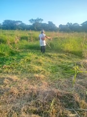 A worker using a brush cutter to clear tall grass on a large lot.