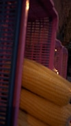 Several ears of yellow corn are stacked in front of a set of purple plastic crates. The scene suggests a market or a storage area with natural lighting and an emphasis on rustic textures.
