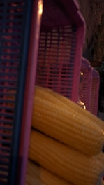 Several ears of yellow corn are stacked in front of a set of purple plastic crates. The scene suggests a market or a storage area with natural lighting and an emphasis on rustic textures.