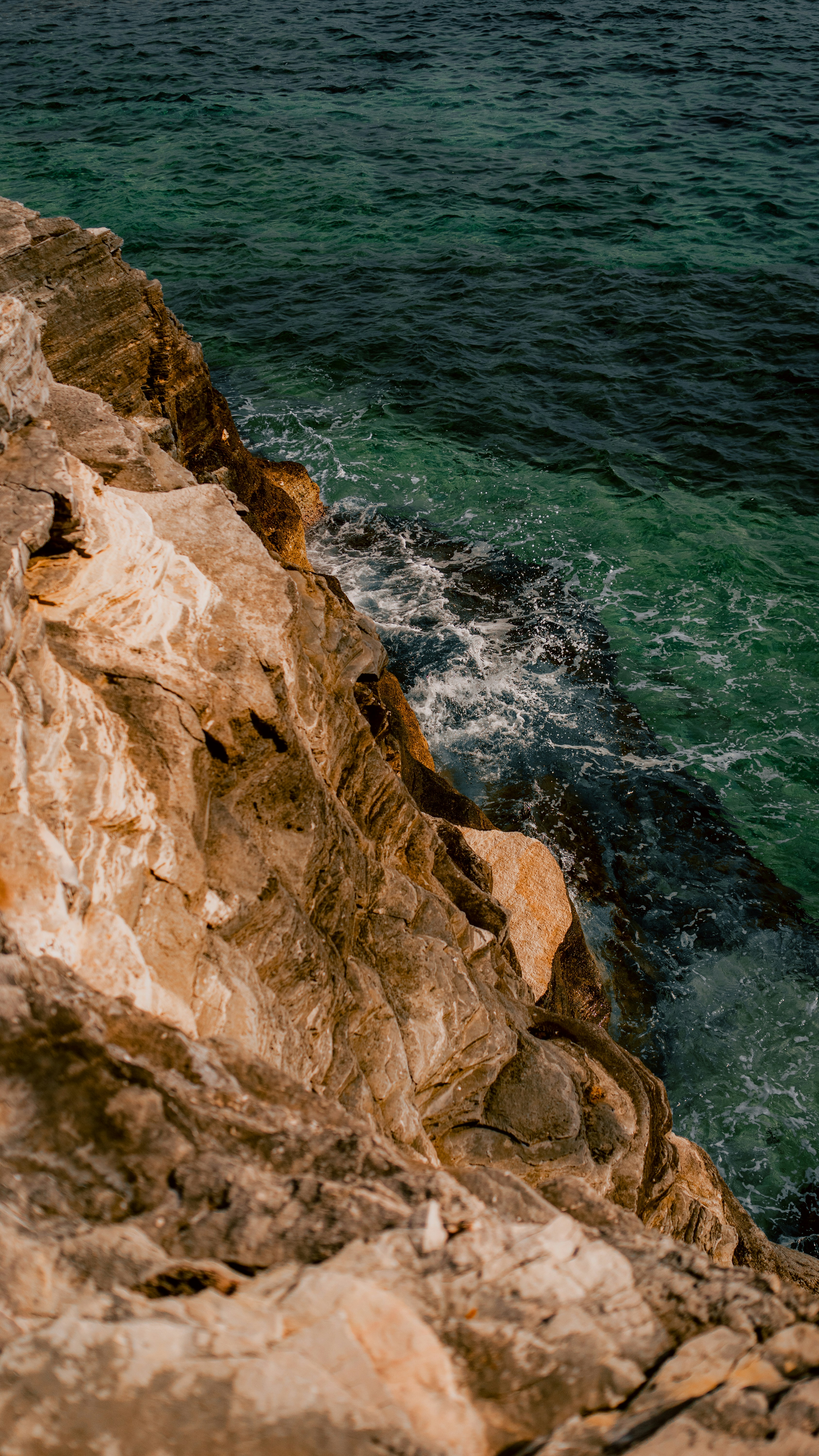 Photo by branislavrodman