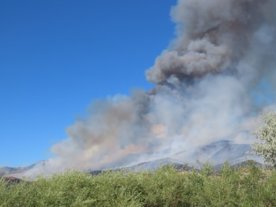 Thick smoke billows into the sky from a wildfire on a landscape with hills and vegetation. The sky is clear blue, contrasting sharply with the grey and black smoke from the fire. Green bushes and trees are visible in the foreground.