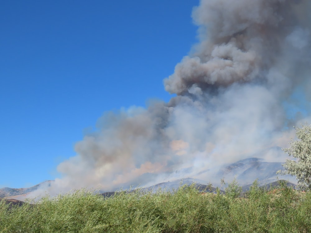 a large plume of smoke rising from a forest