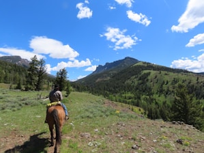 A picturesque view of horseback riding through scenic trails.