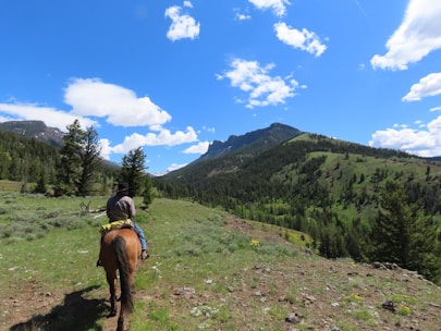 A picturesque view of horseback riding through scenic trails.