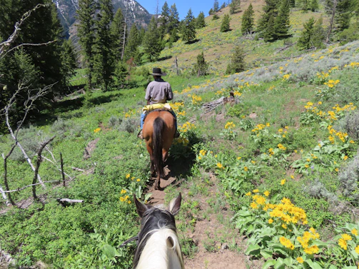 Horse riding adventure along scenic trails surrounded by towering mountains.