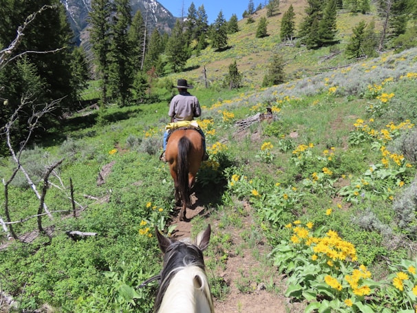 An adventurous traveler horseback riding through a lush green valley with mountains in the background.