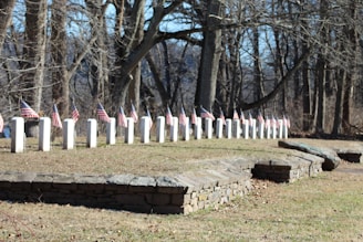 A row of white headstones is lined up in a graveyard, each adorned with American flags. The setting is in a wooded area with barren trees and a clear blue sky. The grass is sparse and brown, with a stone wall bordering the grave area.