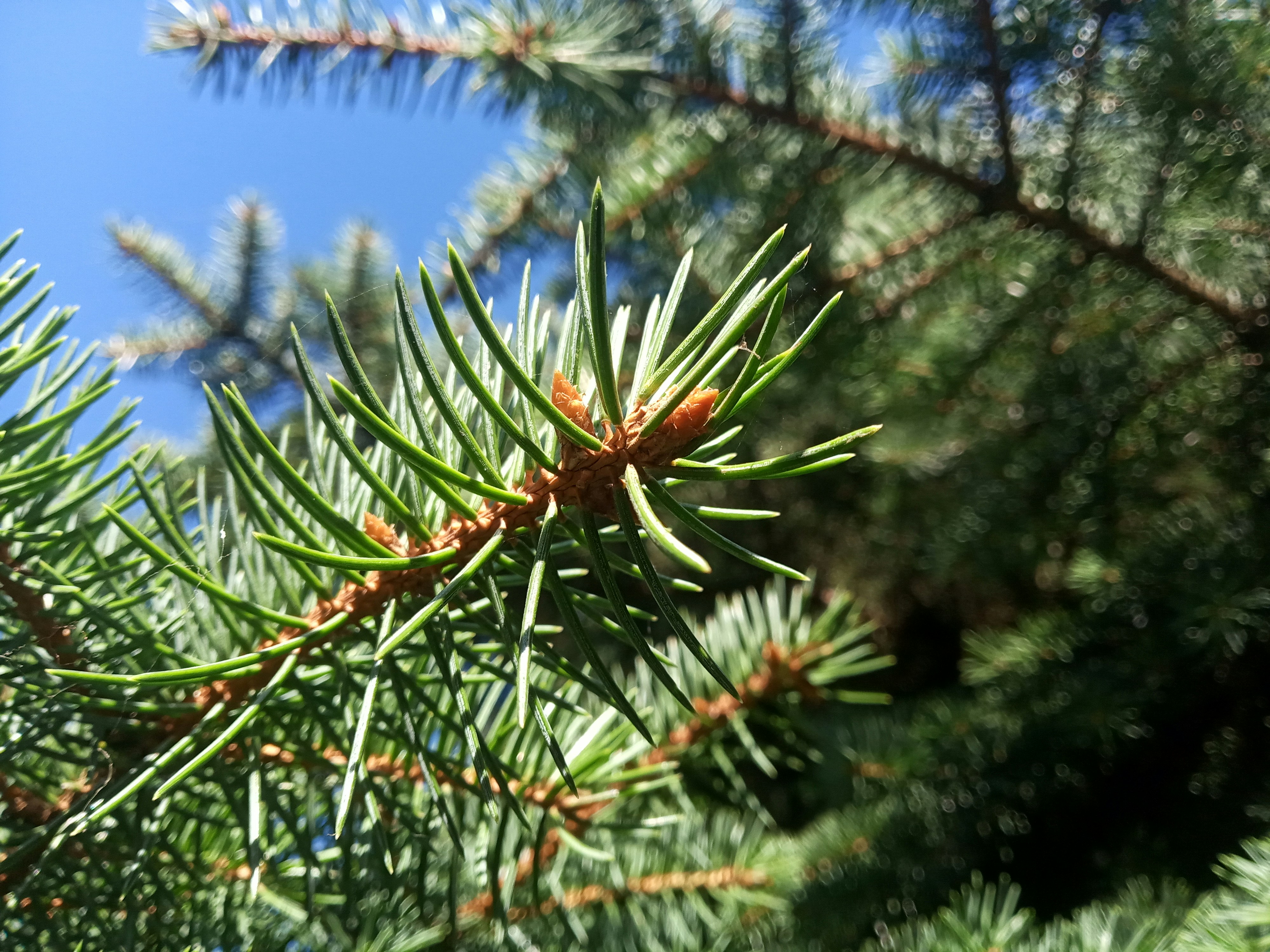 Photo by dmitry_burdakov