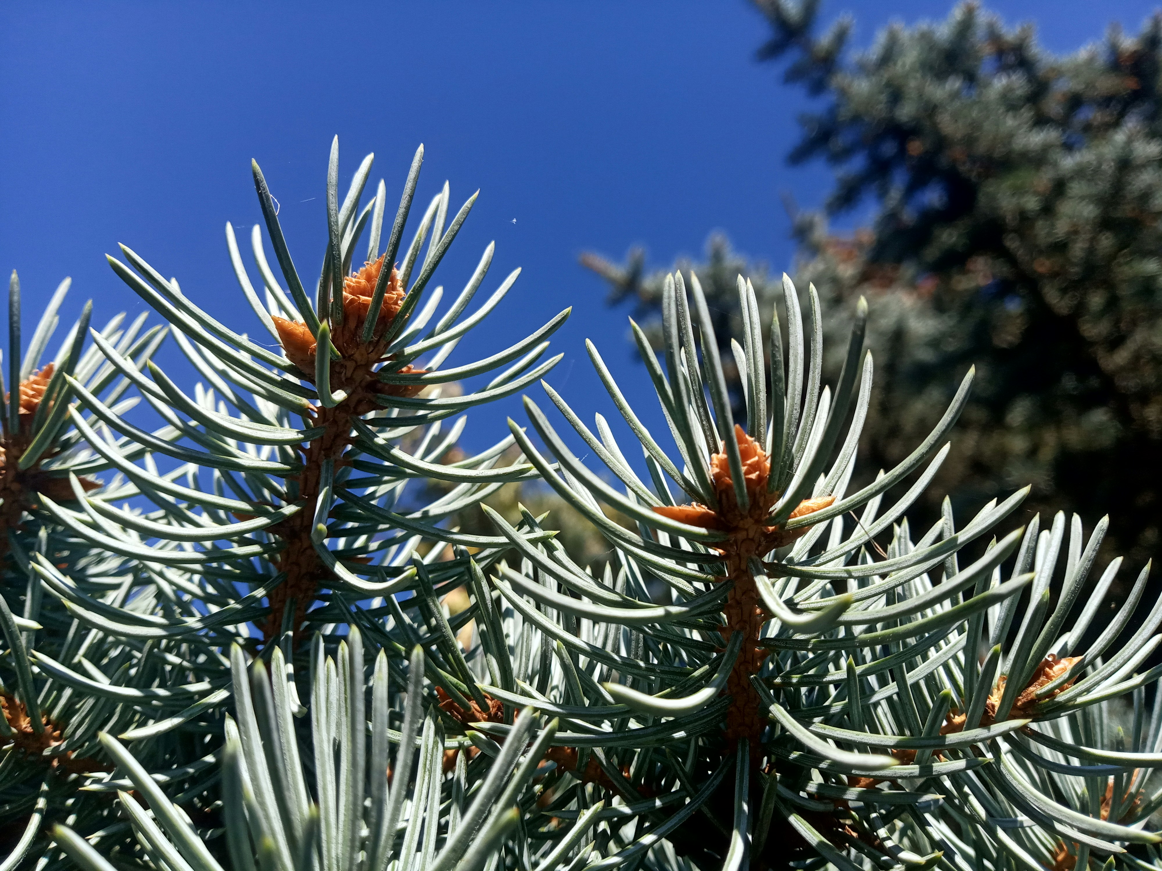 Photo by dmitry_burdakov